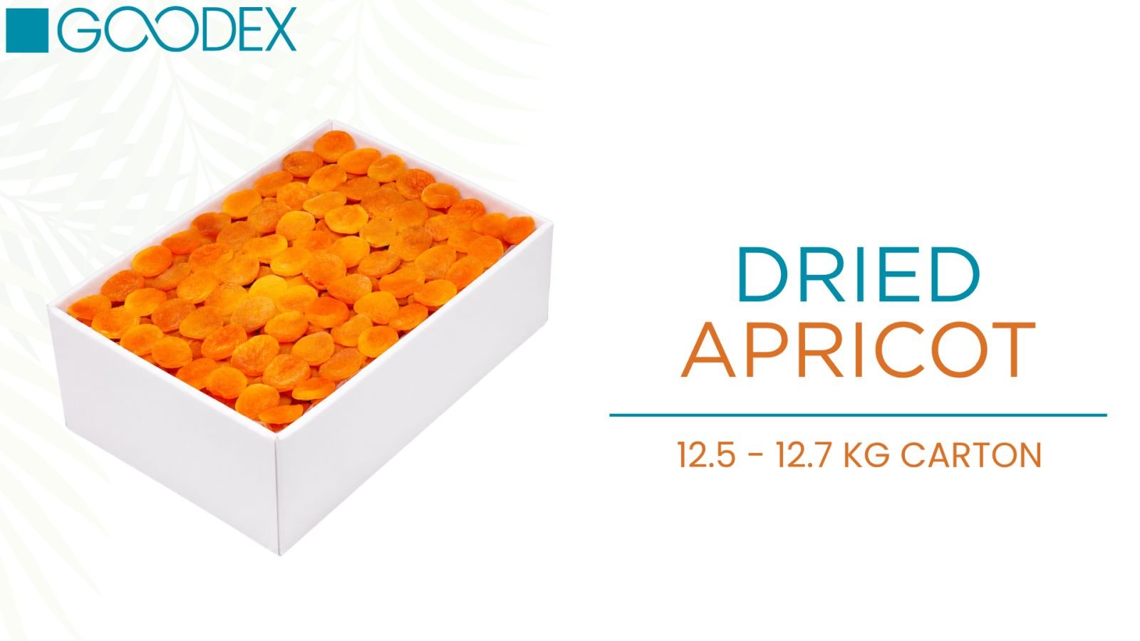 Dried Apricot — variety 2