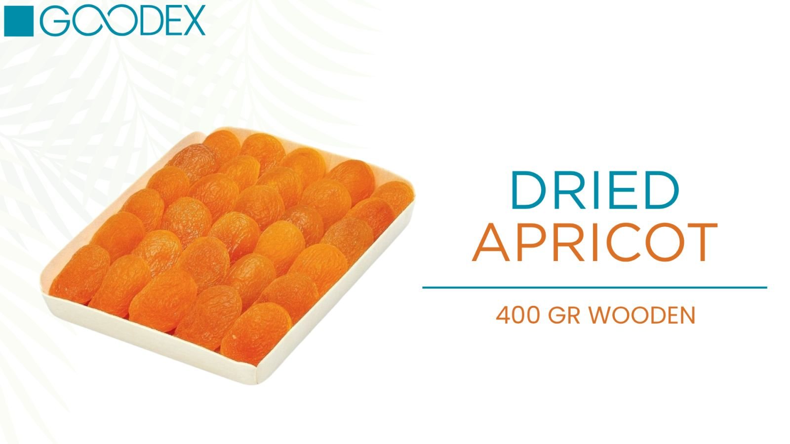 Dried Apricot — variety 6