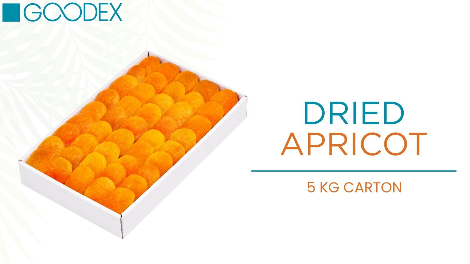 Dried Apricot — variety 7