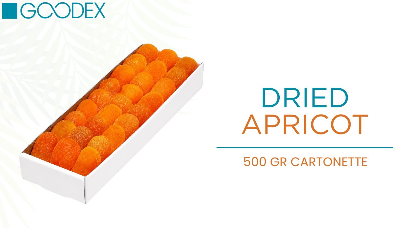 Dried Apricot — variety 8
