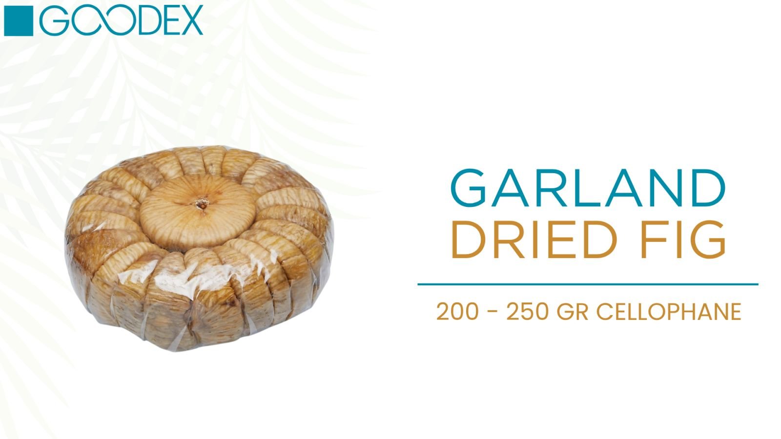 Dried Figs — variety 10