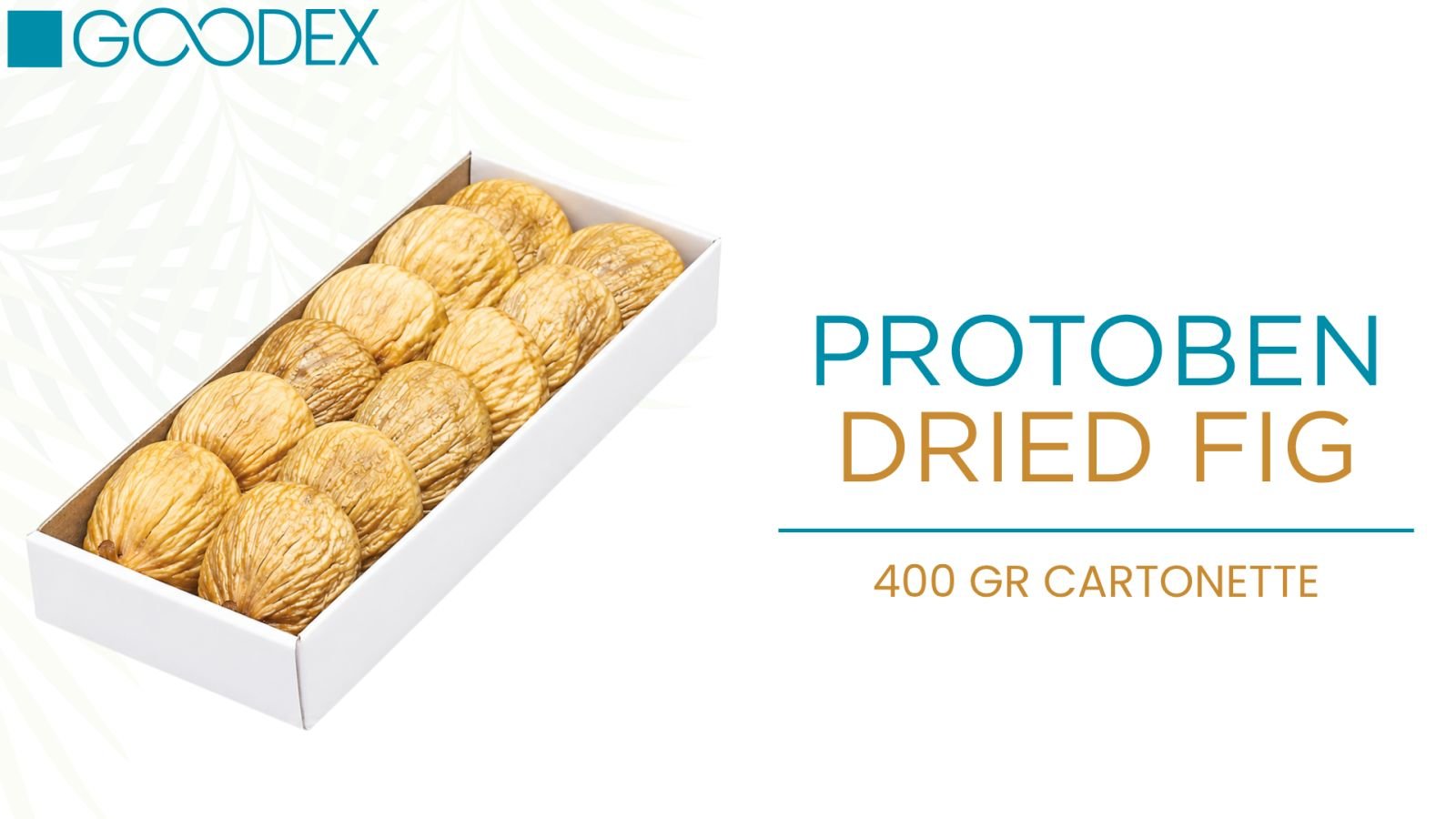 Dried Figs — variety 16