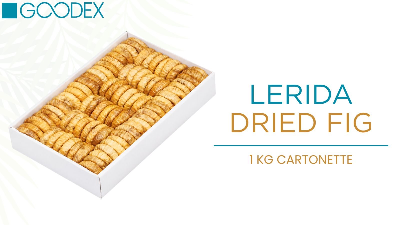 Dried Figs — variety 26