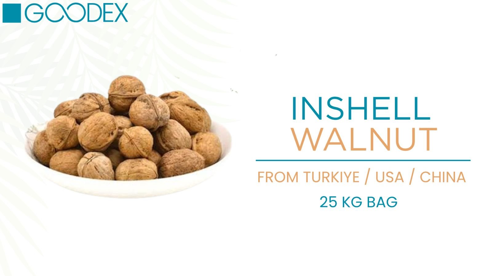 Walnut — variety 1